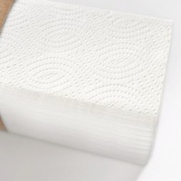 Листовые полотенца Z 2 слоя (белые) в эко-упаковке, целлюлоза, 17гр*2