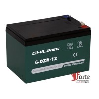 Аккумулятор Chilwee 6-DZM-12