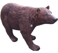 Медведь большой