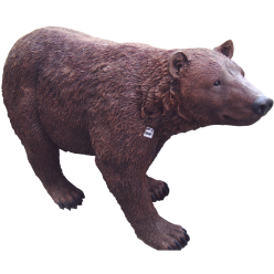 Медведь большой