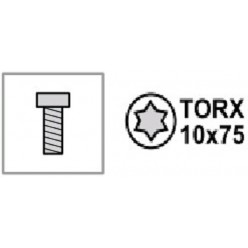 Крепежное изделие форсункодержателя (саморез) TORX 10x75 (звёздочка)