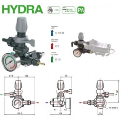 Узел управления Comet® серия HYDRA с манометром (50 л/мин, 5 бар) для EVERFLO PUMPS