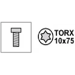 Крепежное изделие форсункодержателя (саморез) TORX 10x75 (звёздочка)